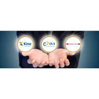 PT Duta Lestari Sentratama (KINO GROUP) Logo