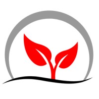 Startup Advisory Logo