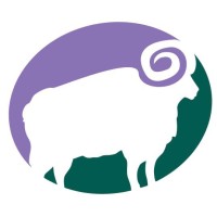 The Branding Authority Logo