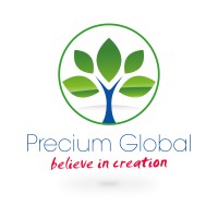 Precium Global Logo