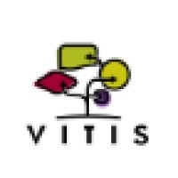 Vitis Logo