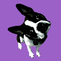 SMART Productions, Inc. Logo