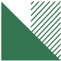 NeuRizer Ltd. Logo