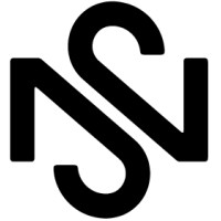New Standard Executive Search Logo
