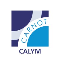 Institut Carnot CALYM Logo