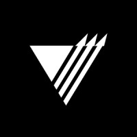 Vector Marketing Logo