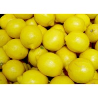 Lemon Juice Personnel Logo