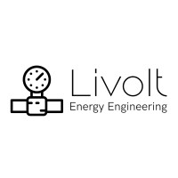 Livolt Logo