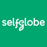 Self Globe Logo