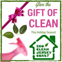 Eco Clean Jersey Coast Logo