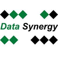 Data Synergy Logo