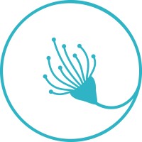 The Northwest Psychology Practice Logo