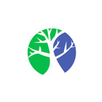 Black Branch Consulting Logo