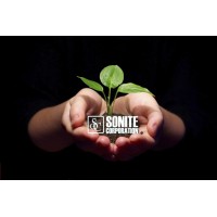 Sonite Corporation Logo