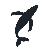 Banxe Logo