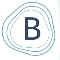 Bridge3 Governance & ESG Logo