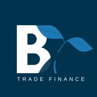Bridge Structured Capital Networks | Bridge Trade Finance Logo