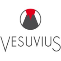 Vesuvius Flow Control Digital Services Logo