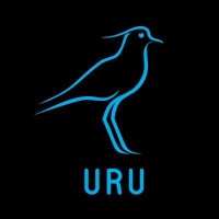 Unión de Rugby del Uruguay Logo