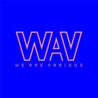 We Are Various Logo