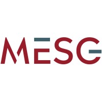 MESG® - Management Experts St. Gallen Logo