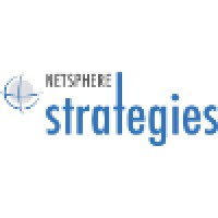 NetSphere Strategies Logo