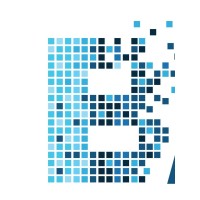 Brilyanz Consulting Logo