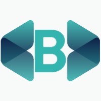 Bores Group Ltd Logo
