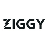 ZIGGY ⚡️ Logo