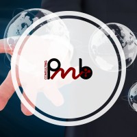 PMB Consulting Logo
