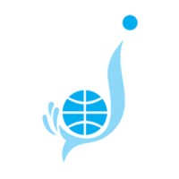 Dolphin International Pvt. Ltd. Logo