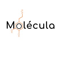 Molécula Consultoria Logo