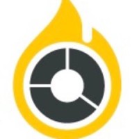 Burnmark Logo