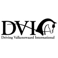 Driving Valkenswaard International Logo