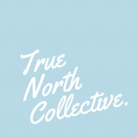 True North Collective LLC Logo