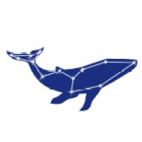 Constellation Learning Logo