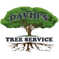 Davids Tree Service, Inc. Logo