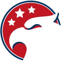 USA Core Values Logo