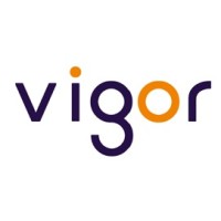 VIGOR HOLDING SDN BHD Logo