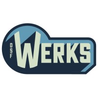 DSF Werks Logo