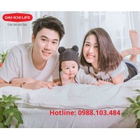 Bảo hiểm nhân thọ Daiichi Life Việt Nam Logo