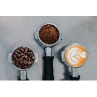 The Studio Beans Logo