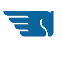 Pegasus Inspections & Consulting Logo