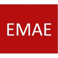 EMAE Capacitacion Logo