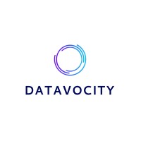 Datavocity Logo