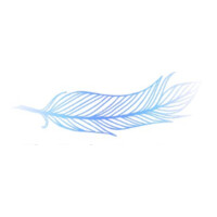 BlueFeather Consulting Logo