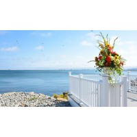 Hotel 1620 Plymouth Harbor Logo