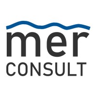 MER Consult Logo