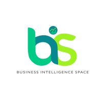 Business Intelligence Space Logo