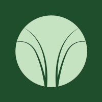 Diamond Tree Logo